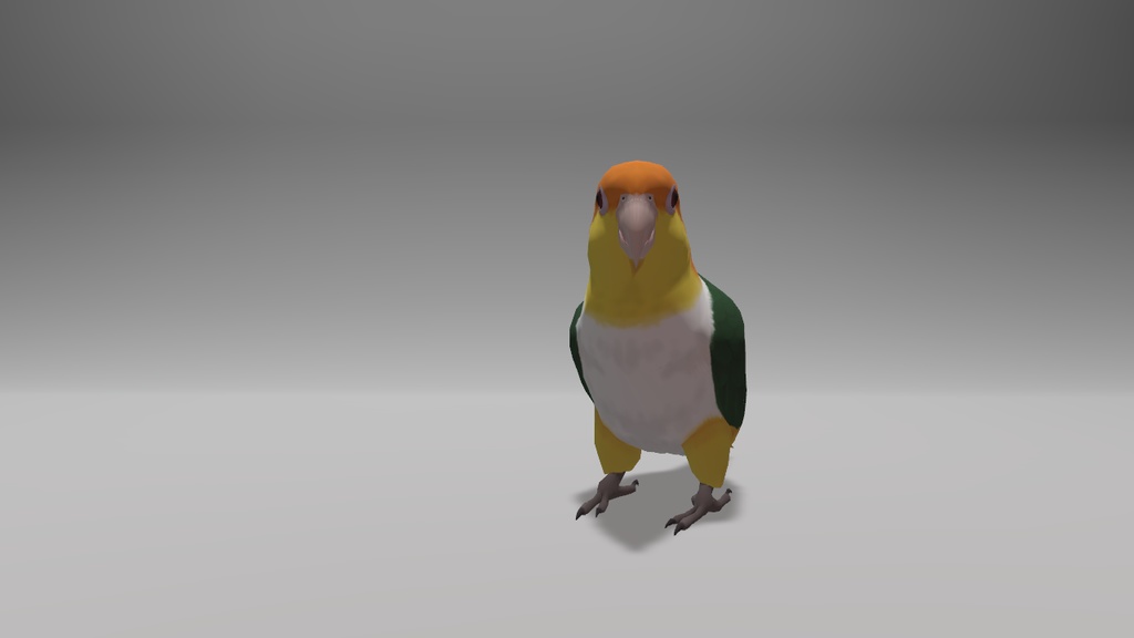 シロハラインコ アバター