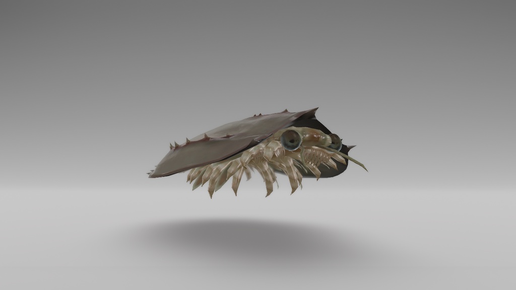 チュゾイア アバター