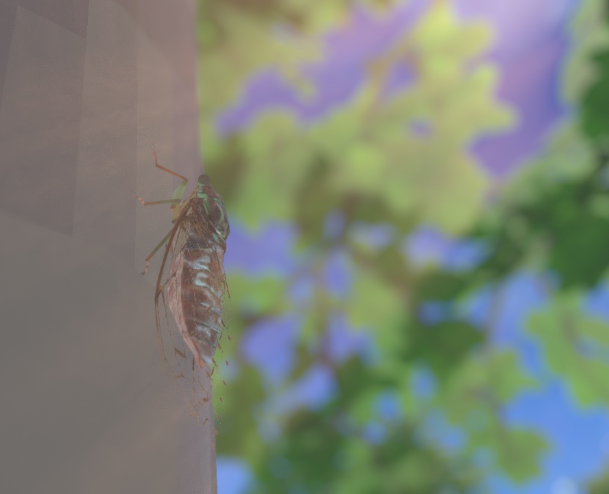 ヒグラシ 3Dモデル