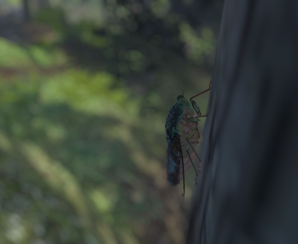 ヒグラシ 3Dモデル