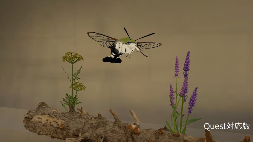 オオスカシバ アバター