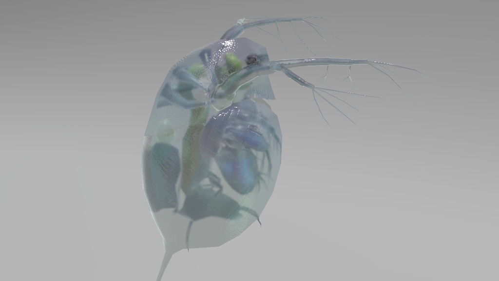 カブトミジンコ アバター