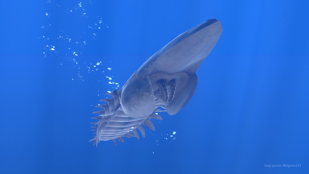 エーギロカシス アバター