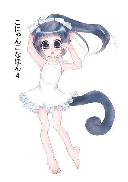 こにゃんこなほん４