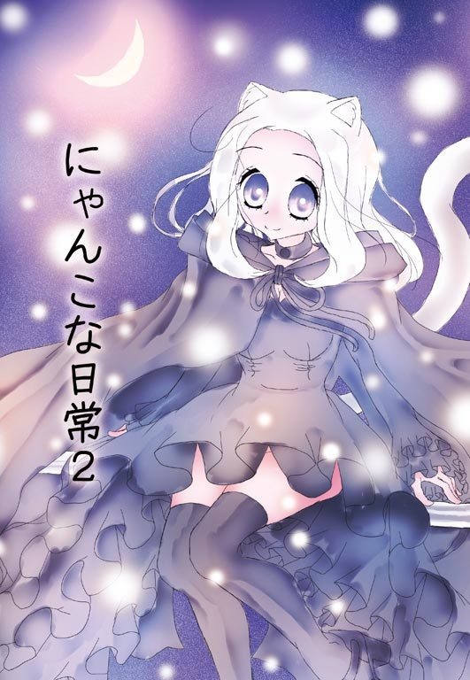 にゃんこな日常２