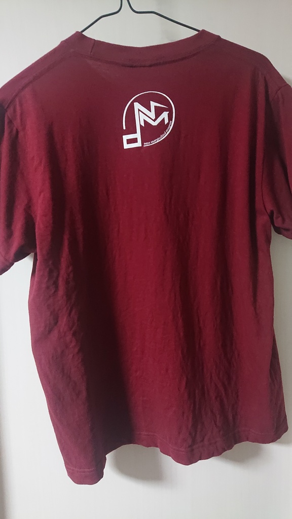 Tシャツ(バーガンディ)『BILDUNGSPHILISTER / BLOODYVIRGINKILLER』