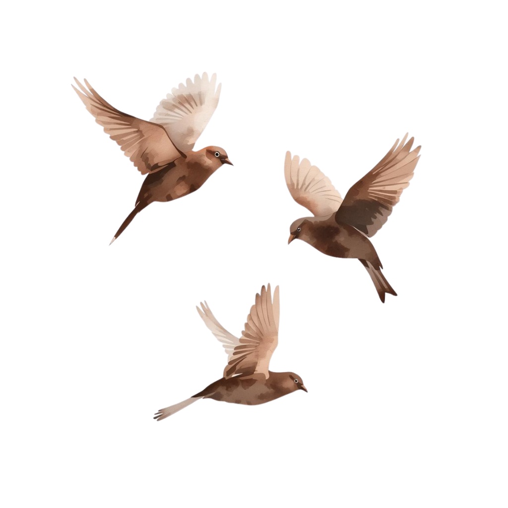 28 Png | Classic Brown Lifestyle Clip Art Collection