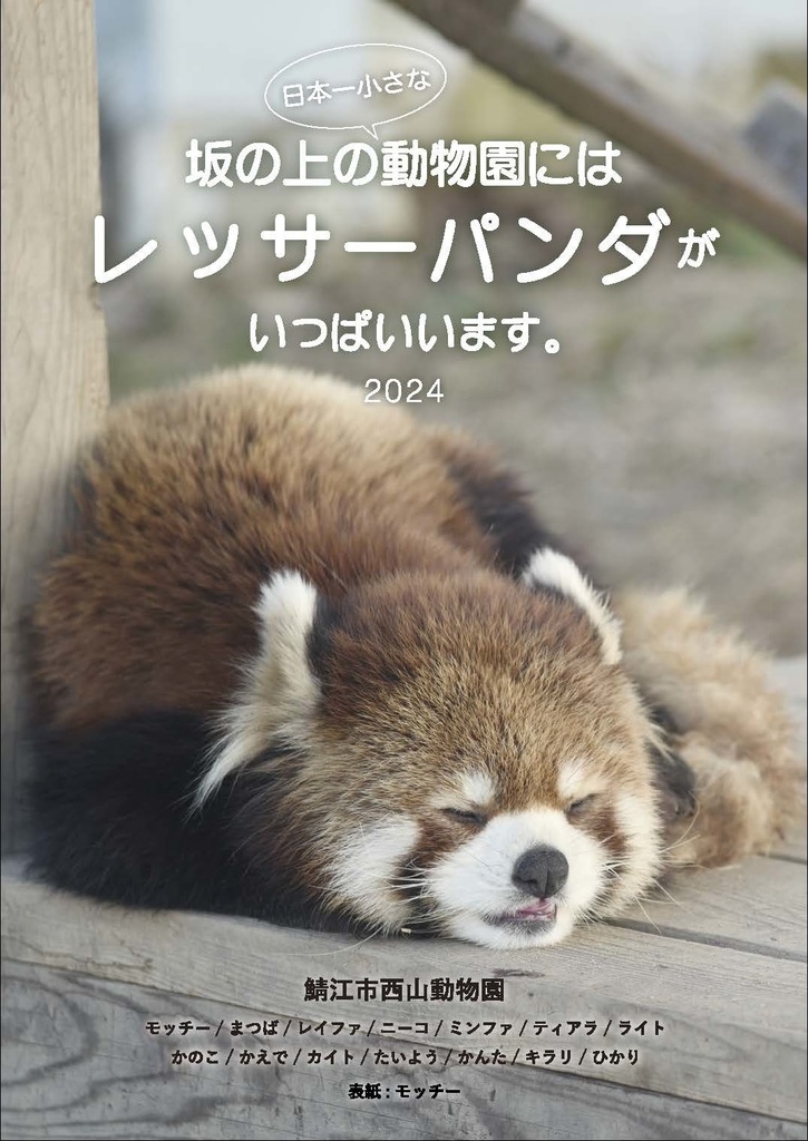 坂の上の動物園にはレッサーパンダがいっぱいいます