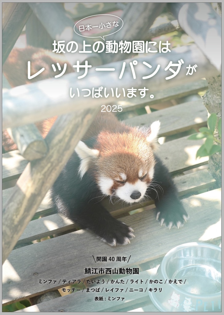 坂の上の動物園にはレッサーパンダがいっぱいいます 2025