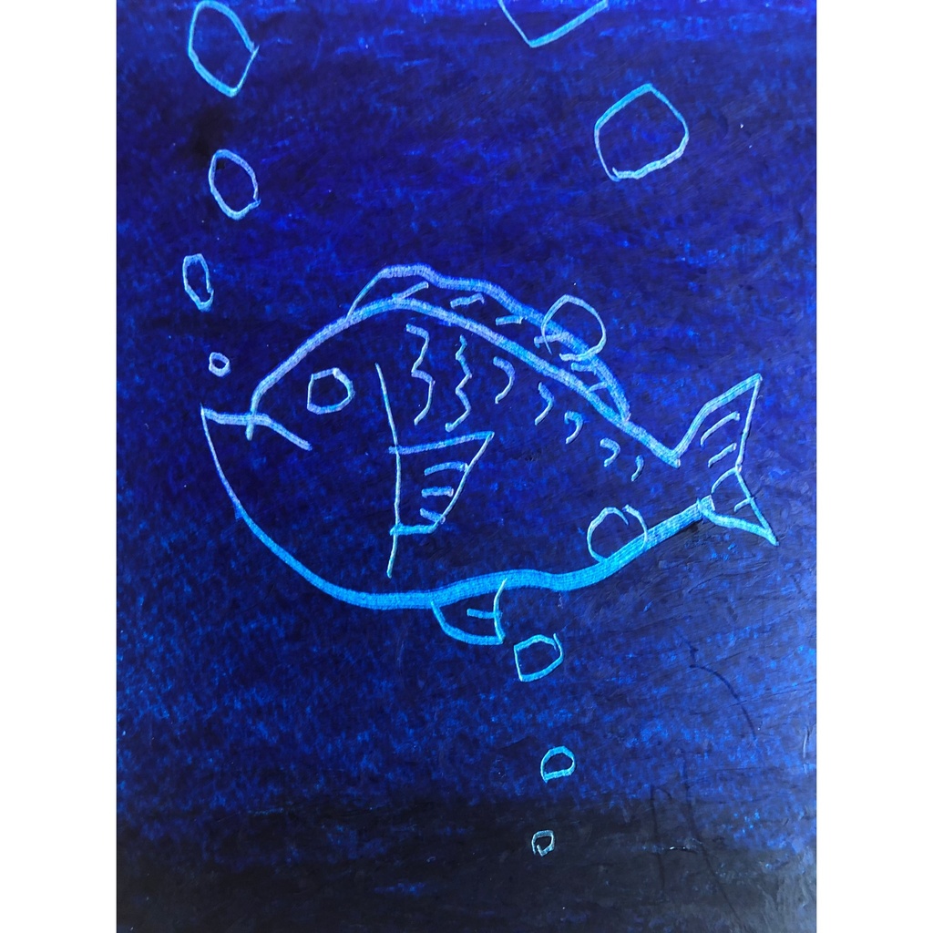 深い海の魚