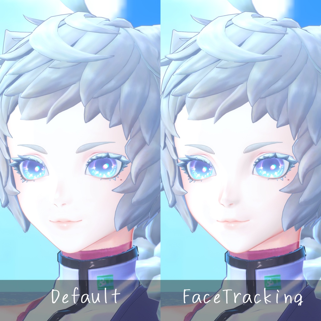 【仮称:Musa専用】<Musa Face Tracking add-on>