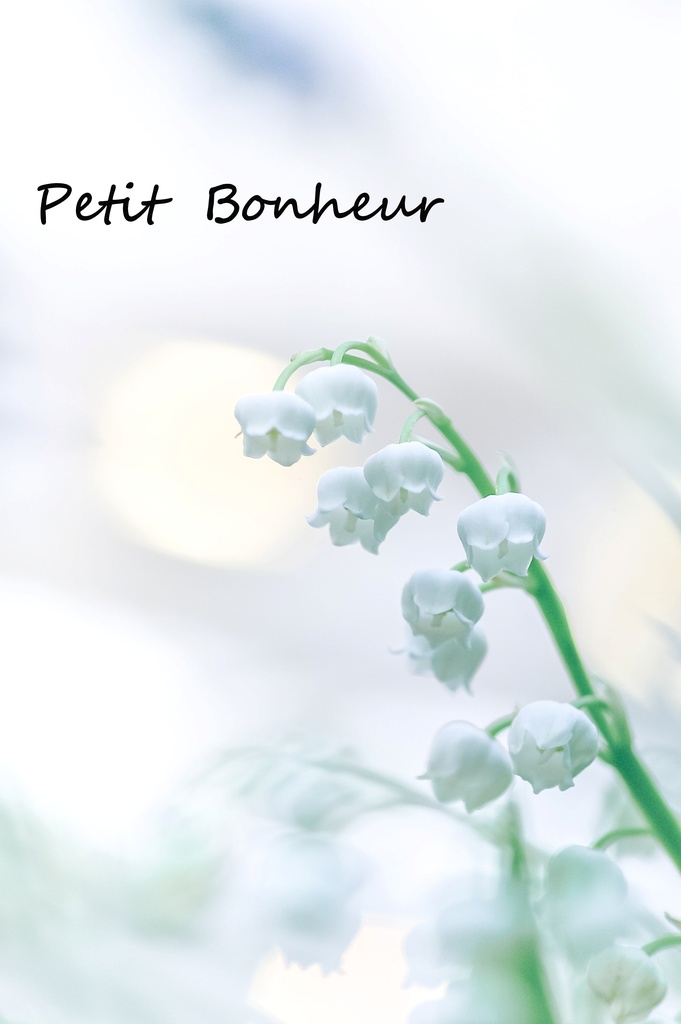 Petit Bonheur