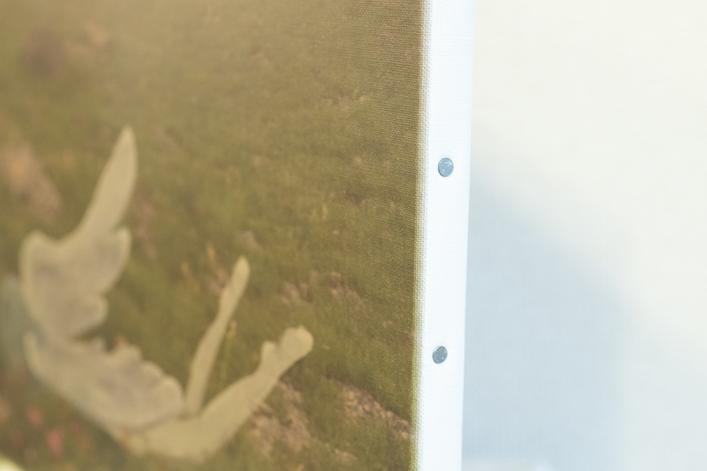 キャンバスアート『落ちた天使』F8