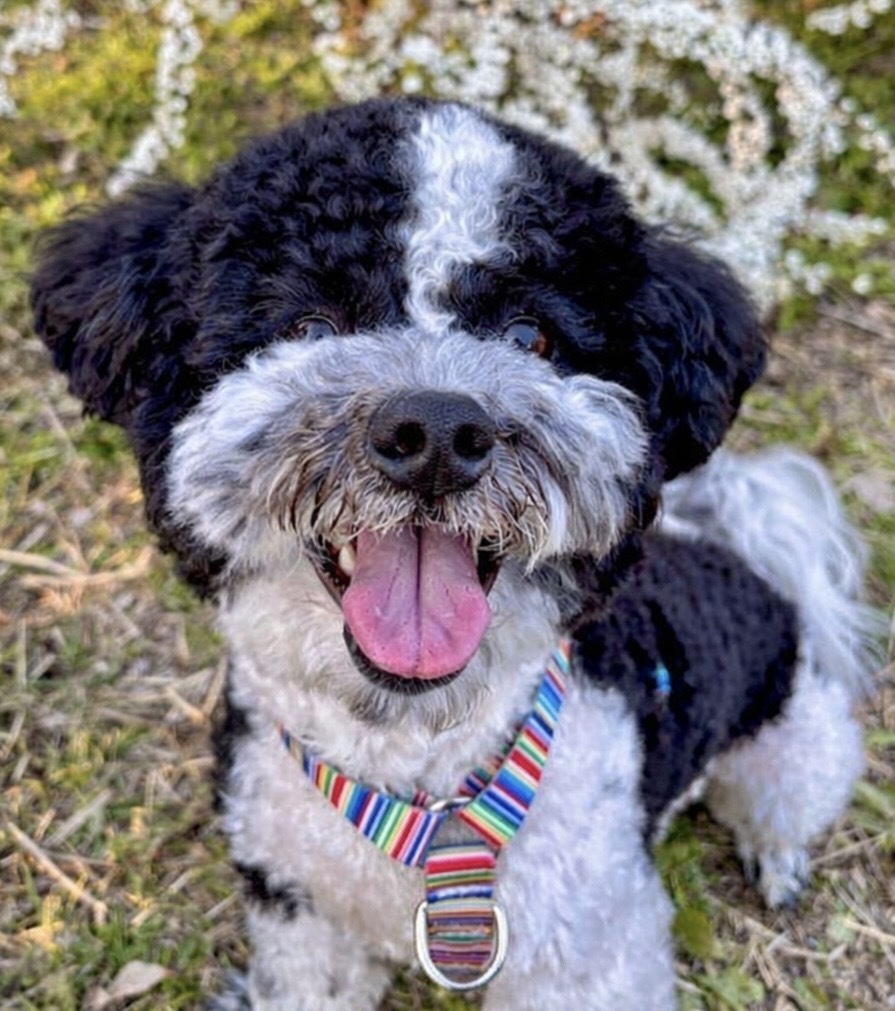 ネコポスから宅配便コンパクトに変更のアイテム