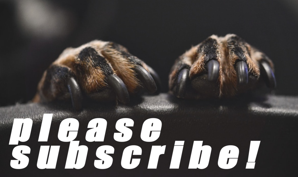 書き順通りに文字が浮かび上がるアニメーション