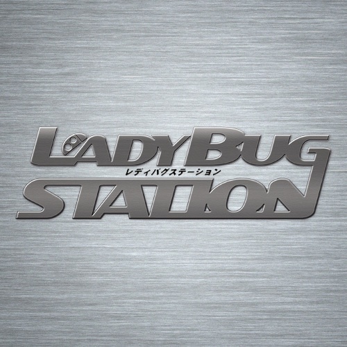 レディバグ1-3