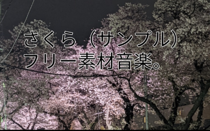 さくら（サンプル）