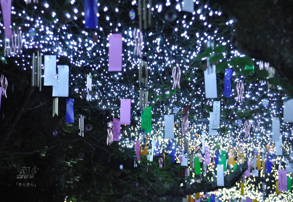 ポストカード「きらきら」