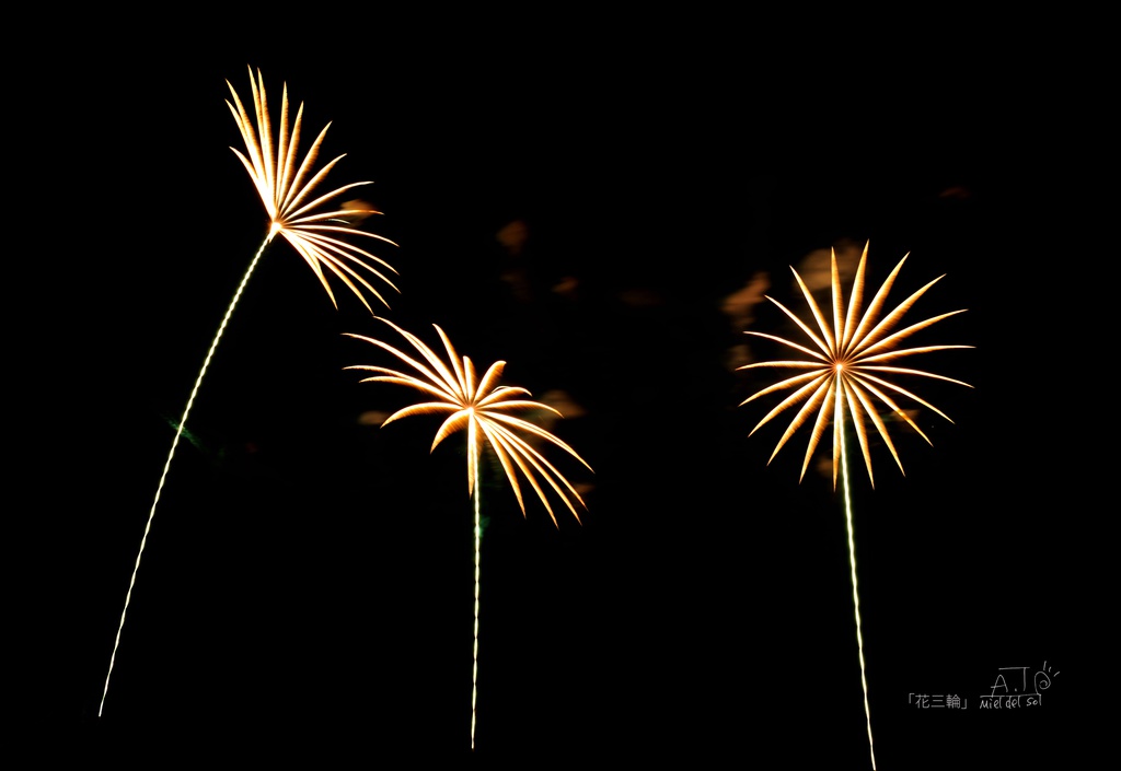 ポストカード「花三輪」