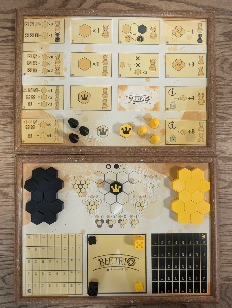 【送料込】 BEETRIO ビートリオ ※2026年8月1日発売
