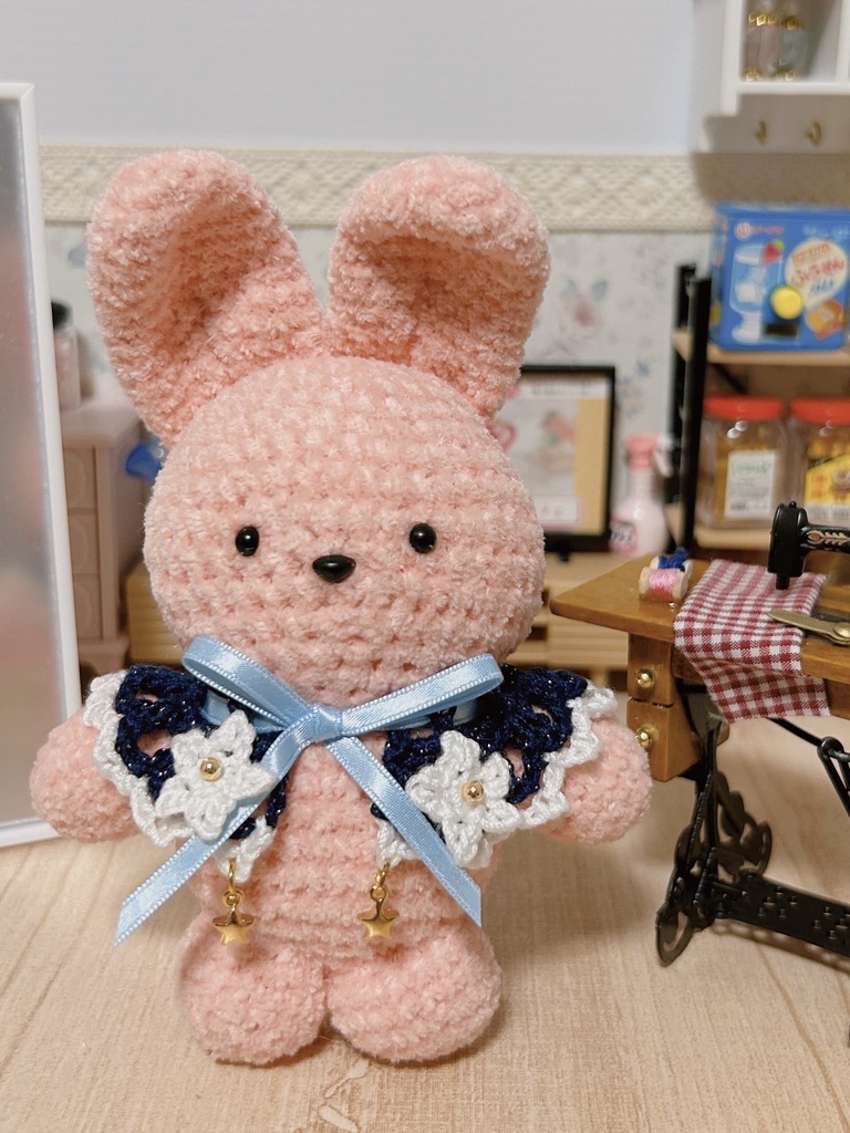 【𝒔𝒑𝒆𝒄𝒊𝒂𝒍】ペンタスの星空付け襟🌌