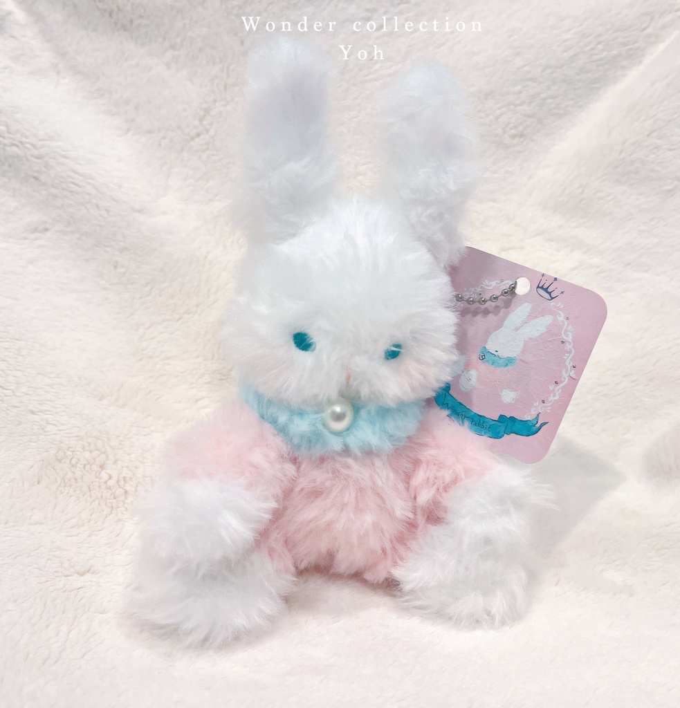 🐰---Wonder rabbitぬいぐるみ---🐰