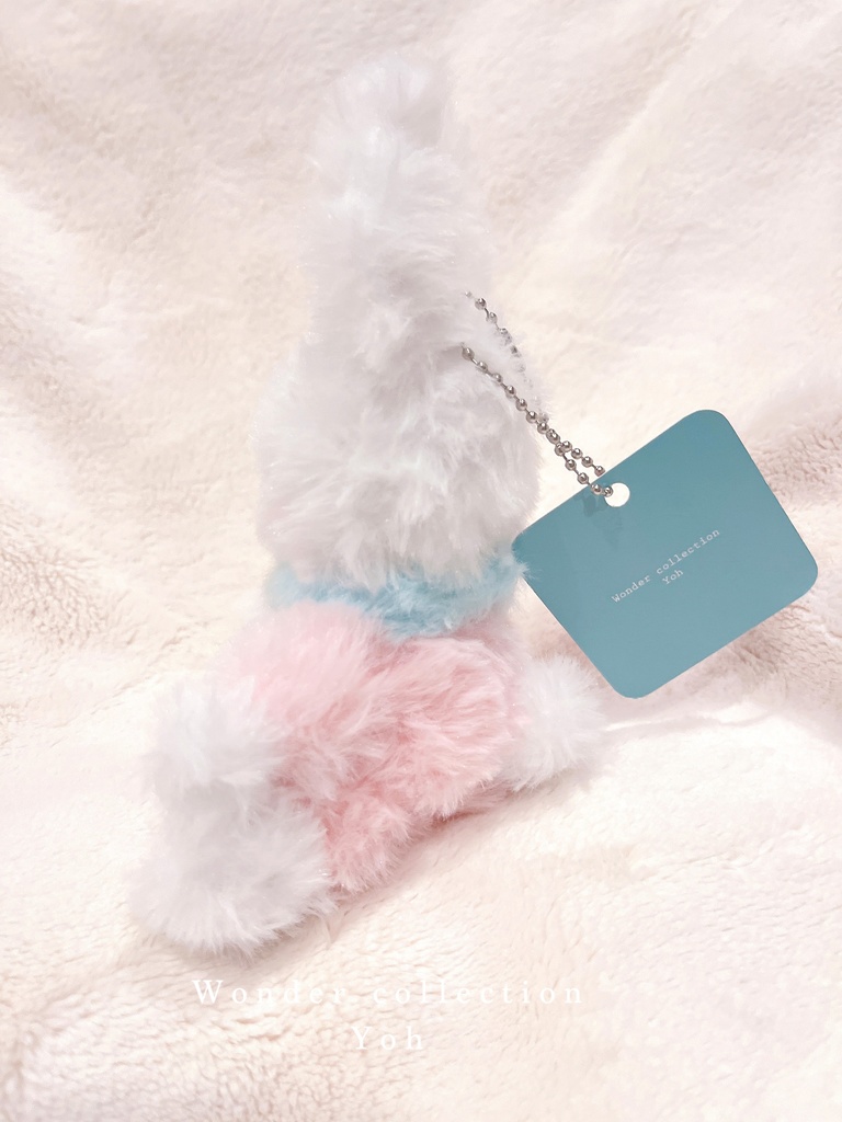 🐰---Wonder rabbitぬいぐるみ---🐰