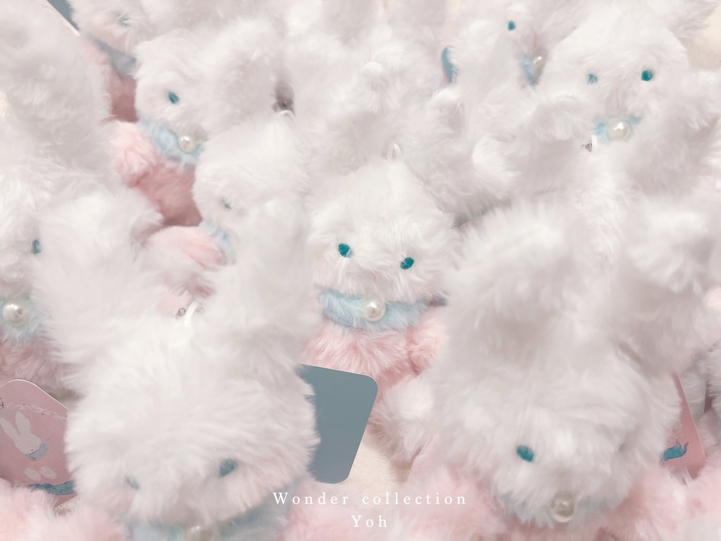 🐰---Wonder rabbitぬいぐるみ---🐰