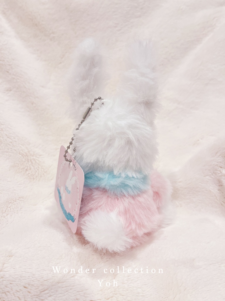 🐰---Wonder rabbitぬいぐるみ---🐰