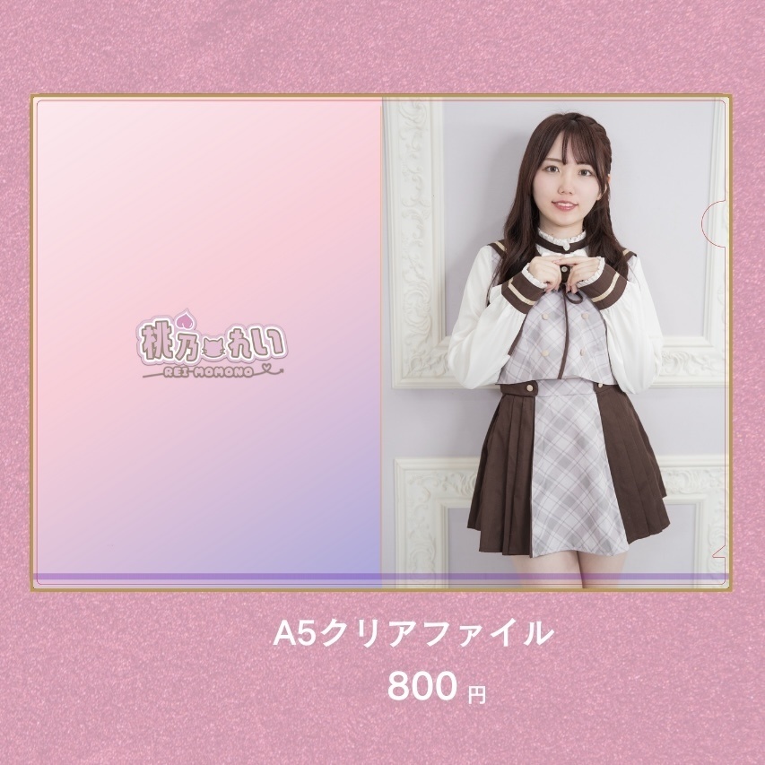 A5クリアファイル