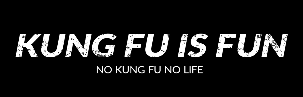 KUNG FU IS FUN オリジナルT-shirt