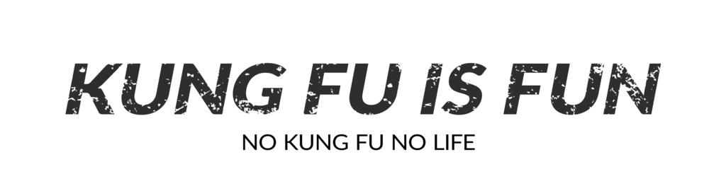 KUNG FU IS FUN ラグランT-shirt