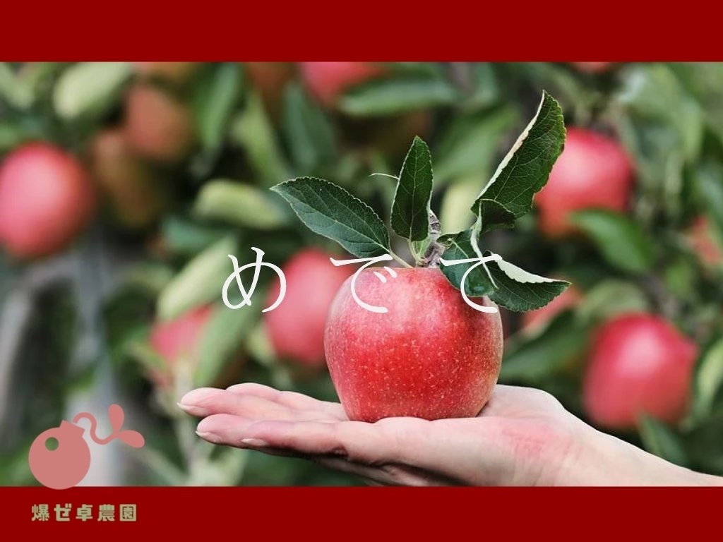 「めでて」/ 三鳴敬