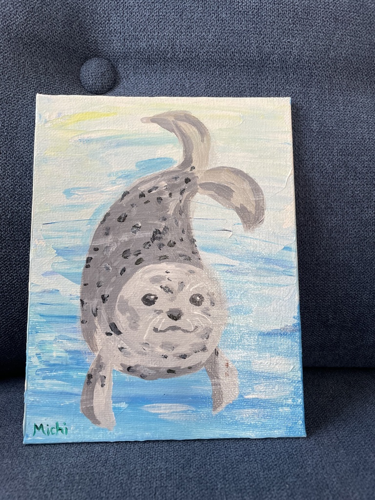 アザラシ