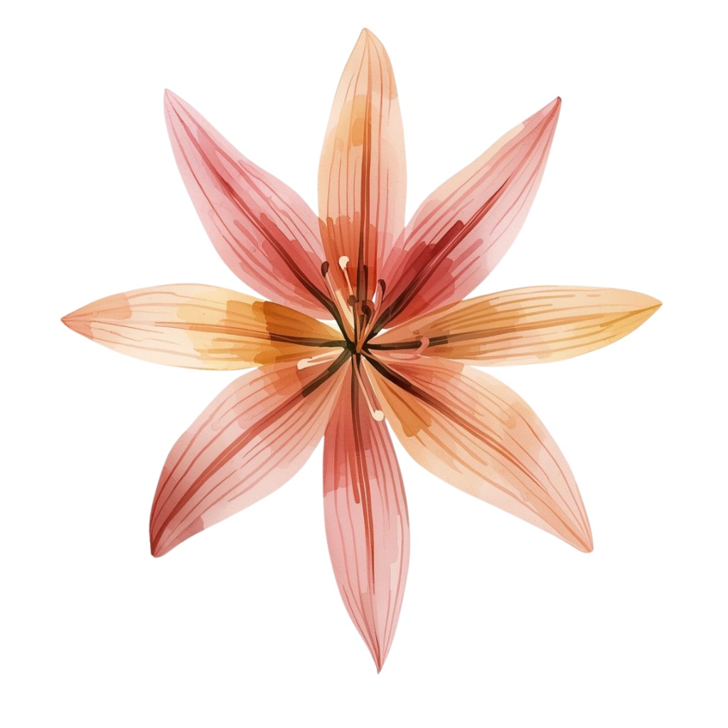 秋の花クリップアート10点セット|水彩タッチでやさしい雰囲気