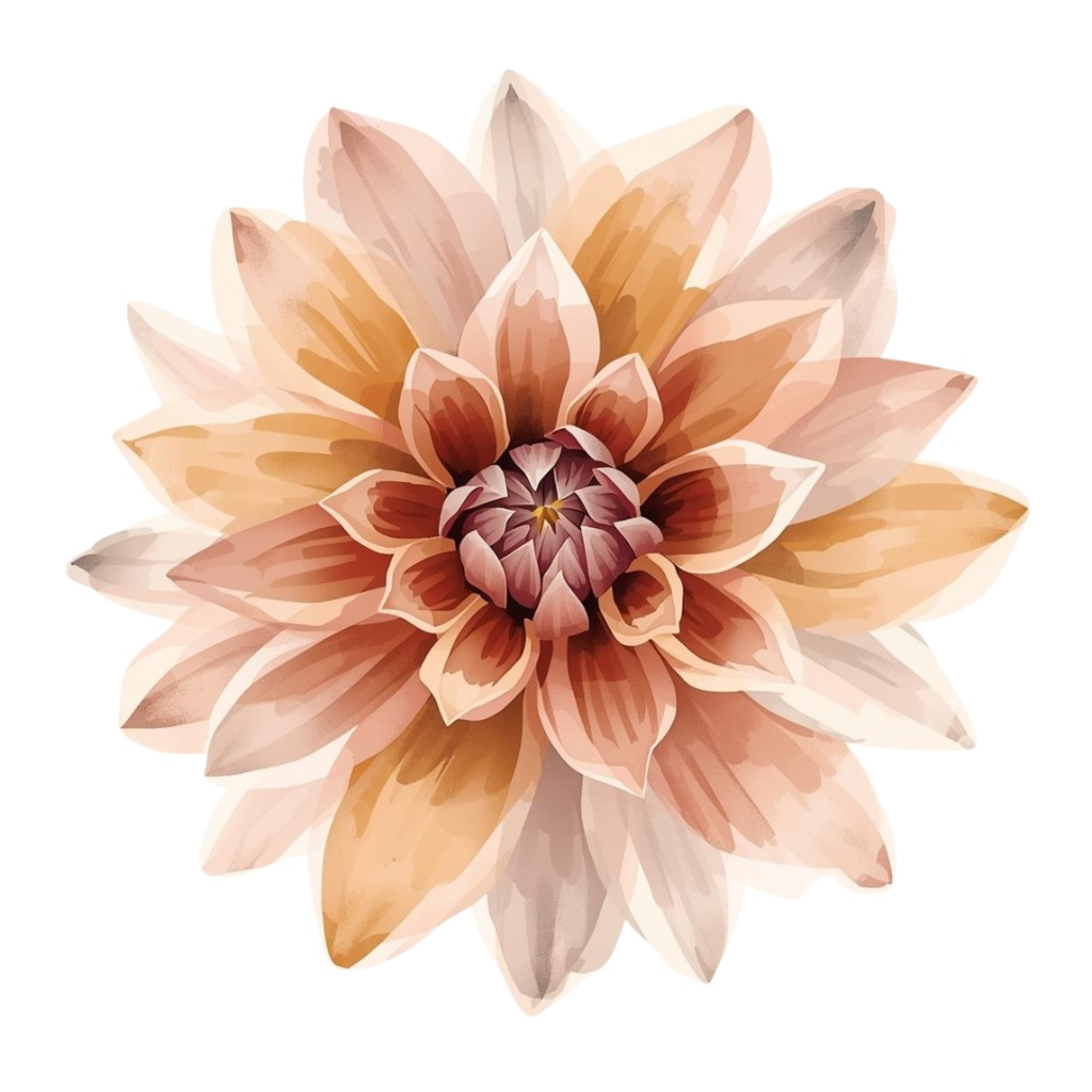 秋の花クリップアート10点セット|水彩タッチでやさしい雰囲気