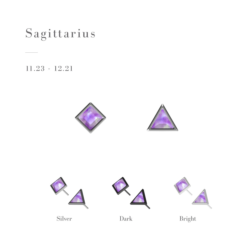 【10/16まで無料】Zodiac Gem Earrings