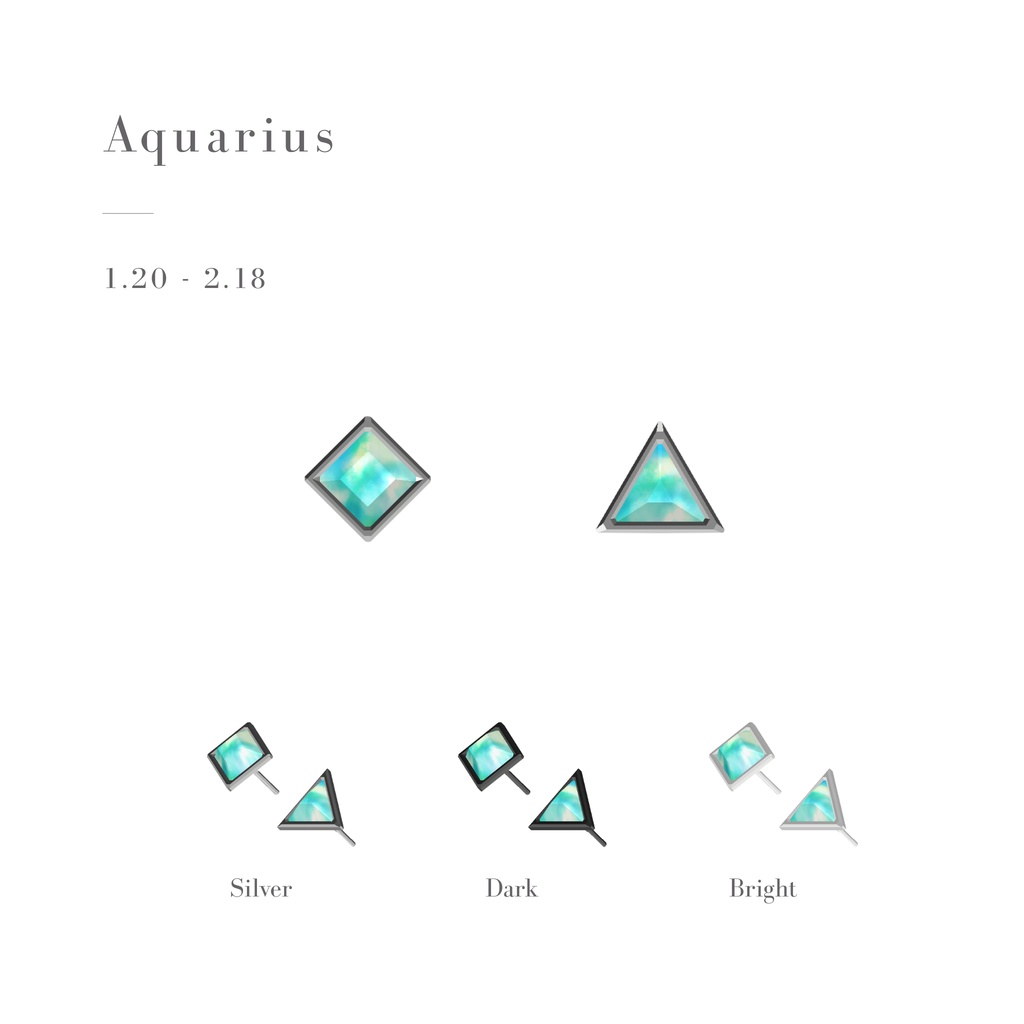 【10/16まで無料】Zodiac Gem Earrings