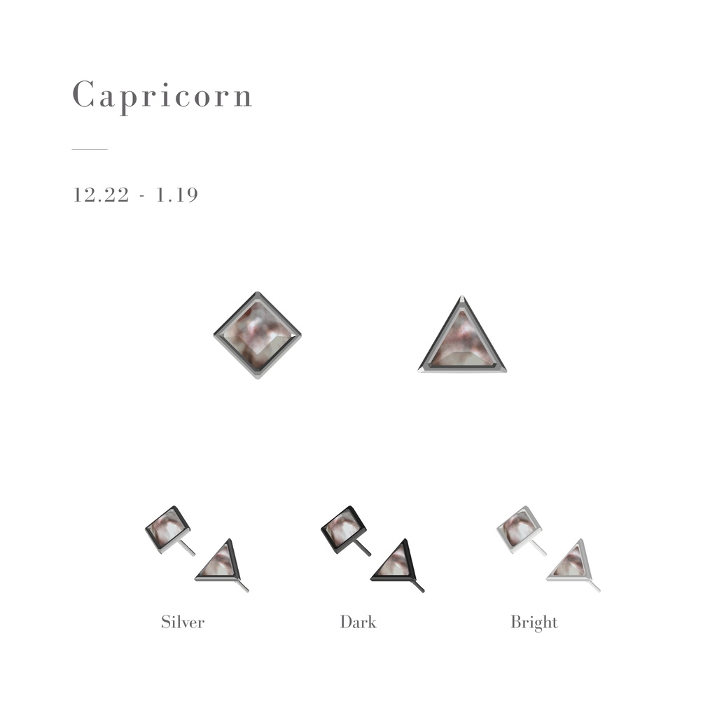 【10/16まで無料】Zodiac Gem Earrings
