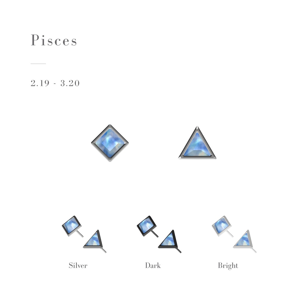 【10/16まで無料】Zodiac Gem Earrings