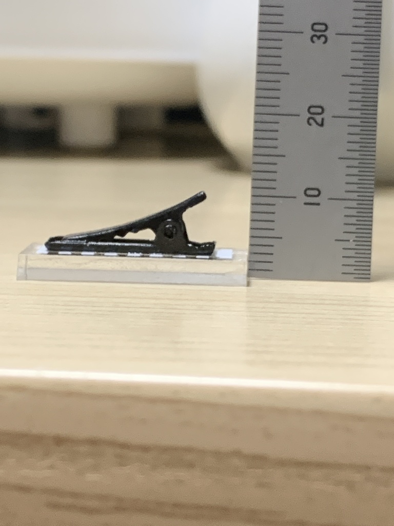 足立レイ ヘアクリップ