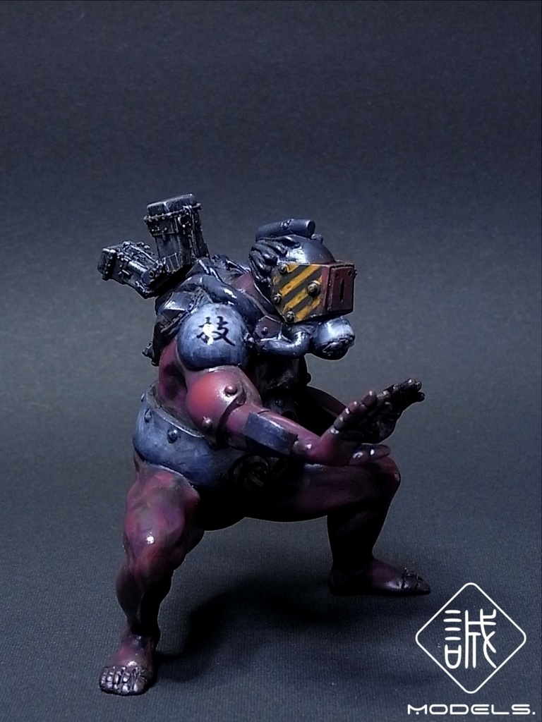 リキシロイド　※送料無料