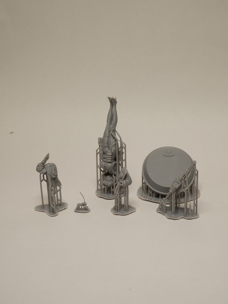 1:20 Anis(NIKKE)3Dプリンター出力品商品