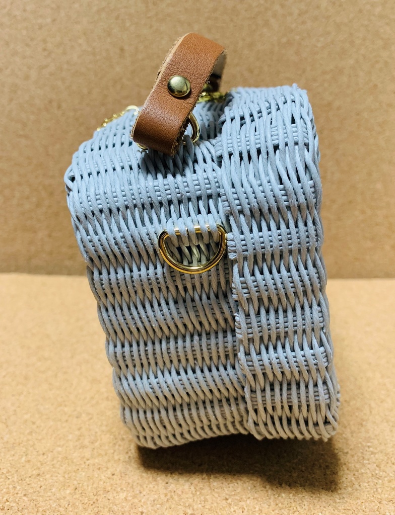 もちバス(パールグレー)