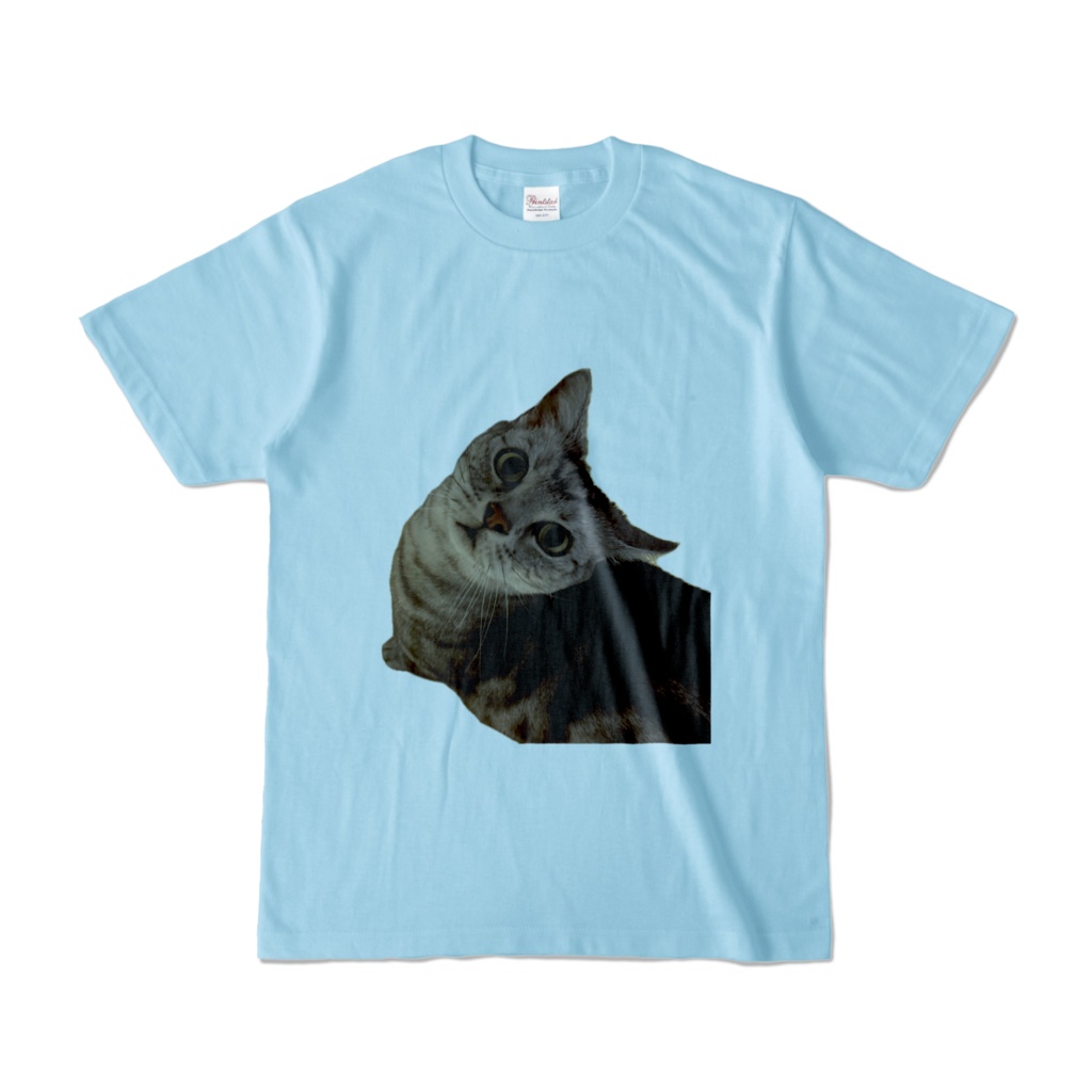 ねこTシャツ水色