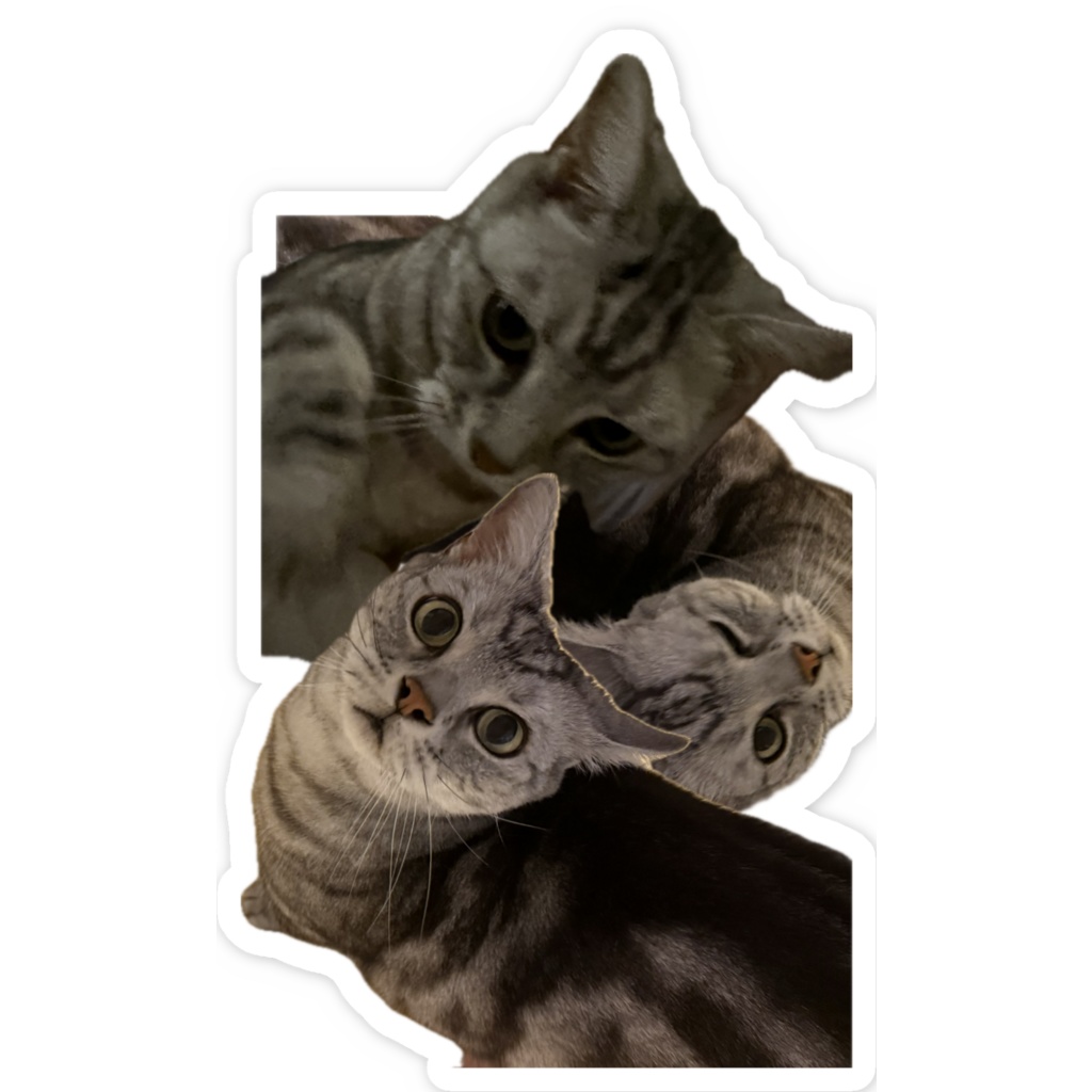 ねこステッカー