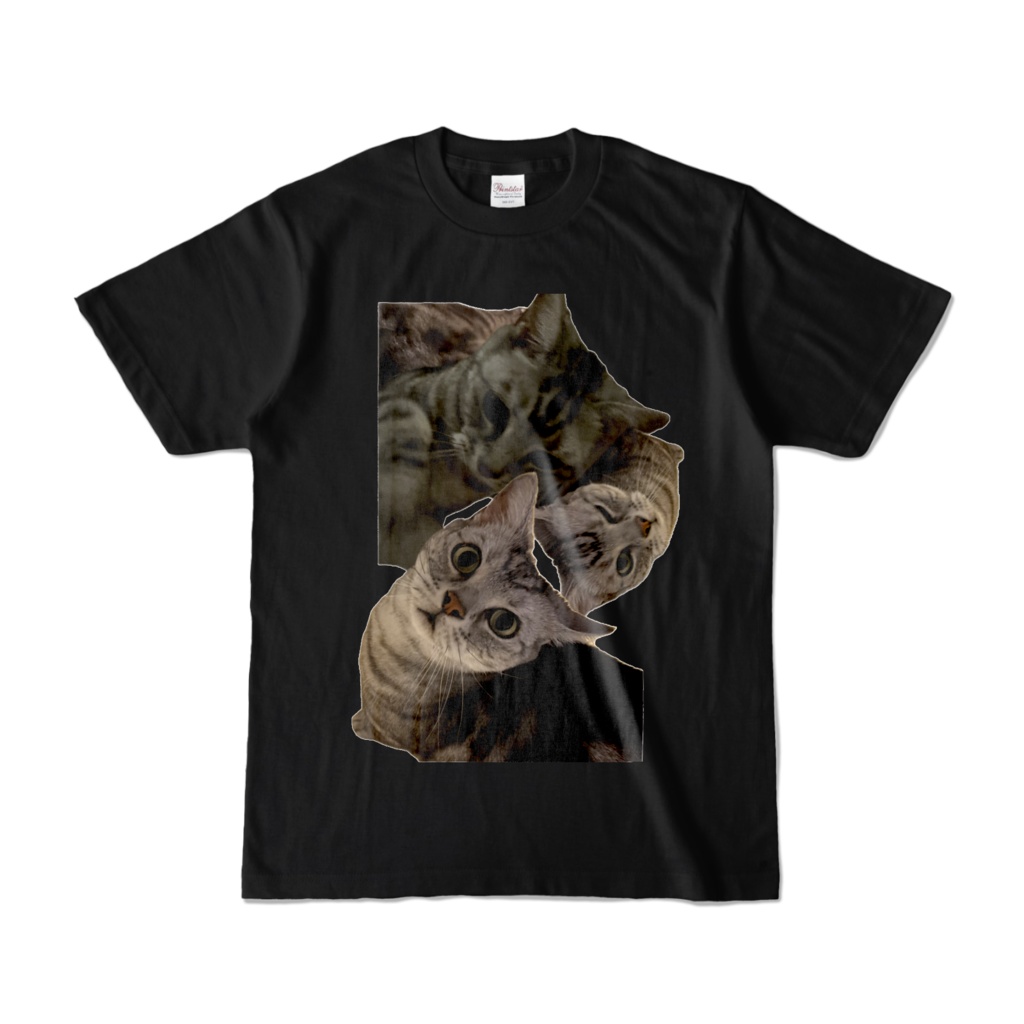猫Tシャツ3