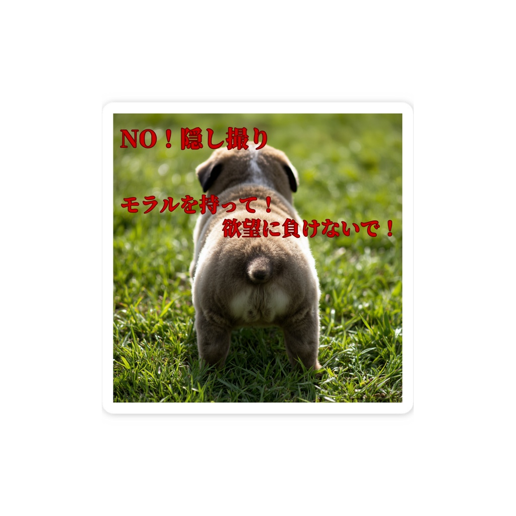 NO!隠し撮り! ステッカー