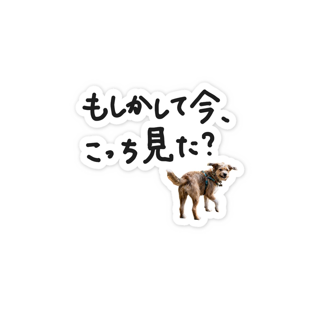 もしかして今、こっち見た? ステッカー
