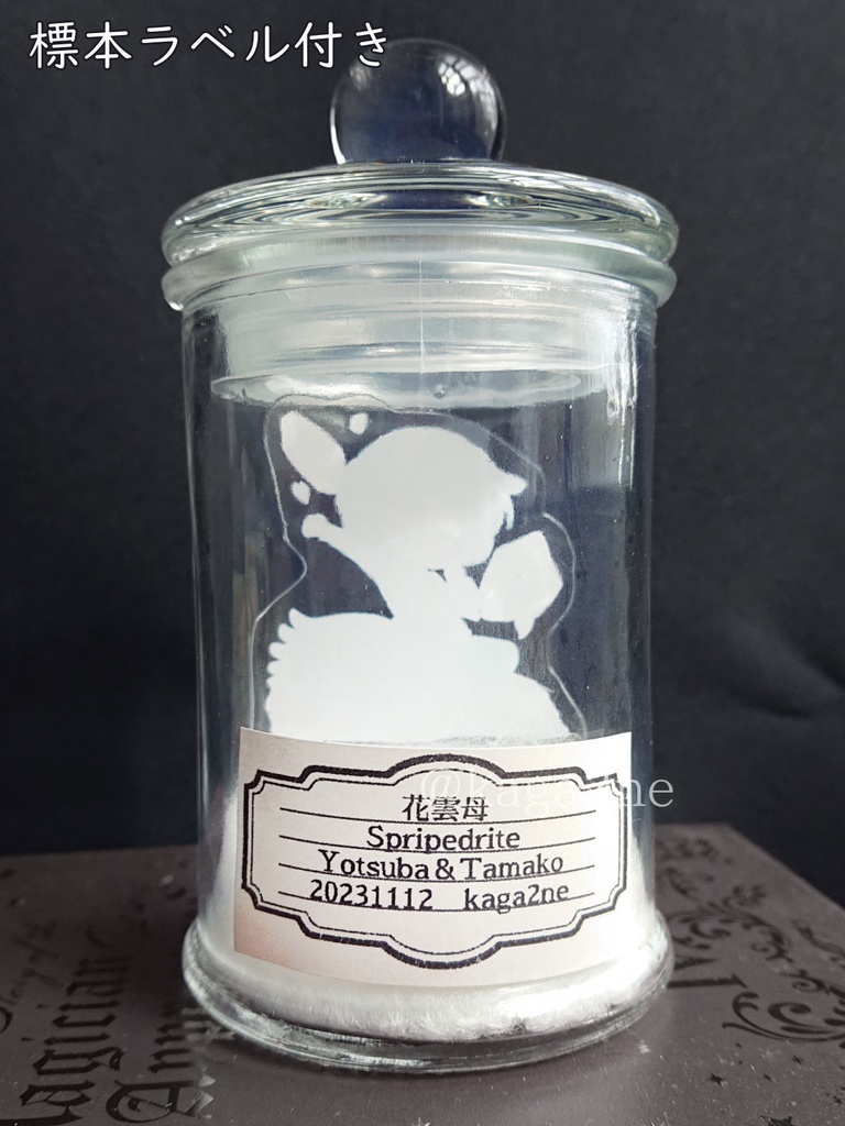 標本風アクリルスタンド